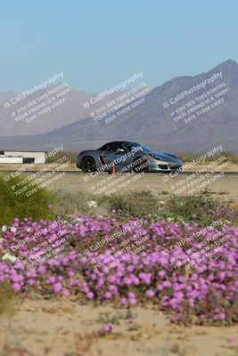 media/Jan-29-2023-PCA San Diego (Sun) [[aa0301ccc2]]/Yellow Group/Session 1 (Turn 15 Bloom)/